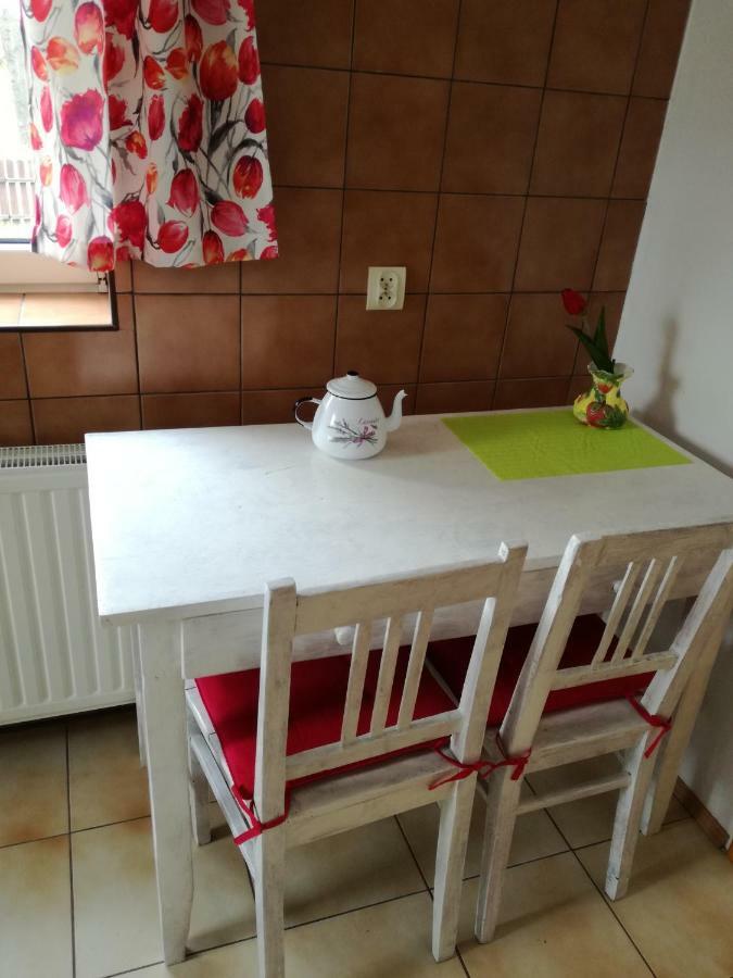 Vila Dom U Janiny Sułkowice Exteriér fotografie
